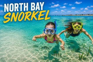 North Bay Snorkel - South Padre Island