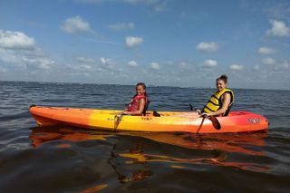 Sunset kayaking tour at Manatee Cove with Manatee & Dolphin sightings