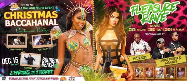 Christmas Bacchanal Costume Party