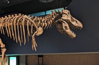 Badlands Small Group Guided Tour: Calgary to Drumheller Dinosaurs