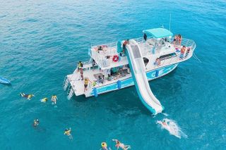 Oahu Dolphin and Snorkel Tour with Waikiki Pickup & Lunch
