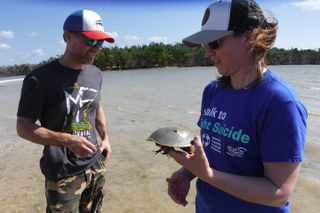10,000 Islands Excursion 3.5 hour Dolphin & Shelling Boat Tour