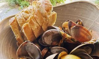 Cora Pizza and Plates