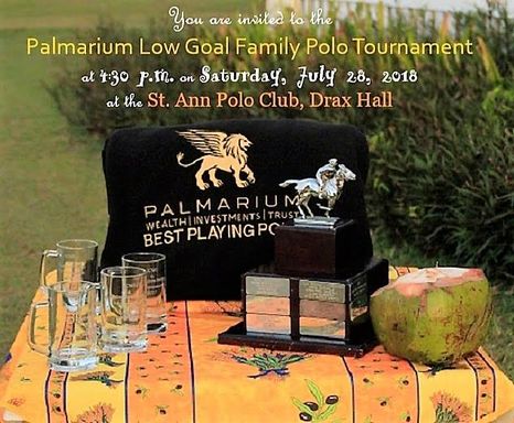Palmarium Low Goal Family Polo Tournament