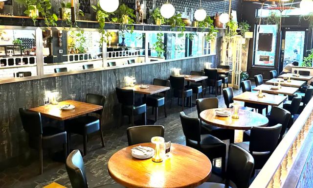 Top Burmese Burma Joy