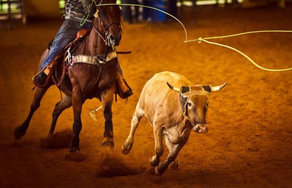 Stockyards Championship Rodeo 8/14
