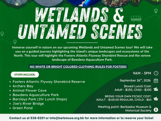 Wetlands & Untamed Scenes Tour