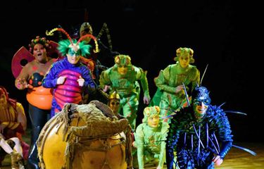 Cirque du Soleil: Drawn to Life