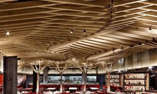 Nobu Downtown | Restaurant