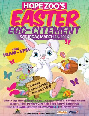 Easter Egg-Citement