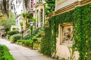 Savannah Land & Sea Combo: City Sightseeing Trolley Tour with Riverboat Cruise