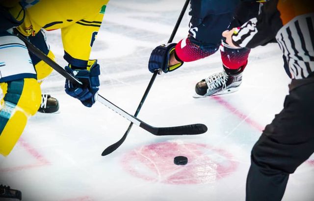 Brampton Steelheads at Niagara Icedogs