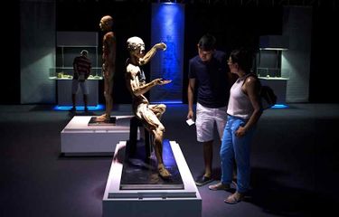 Bodies: The Exhibition