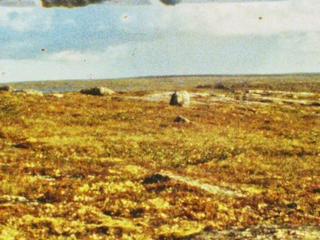 Shorts Program: Experimental