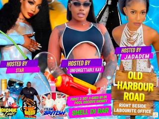 Wet Rich Strippers Bikini Edition