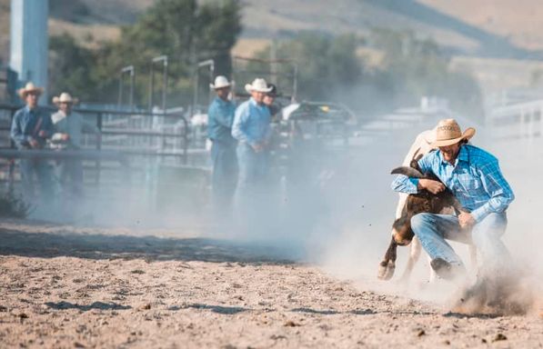 PRCA Dacotah Bank Stampede Rodeo - Tuesday