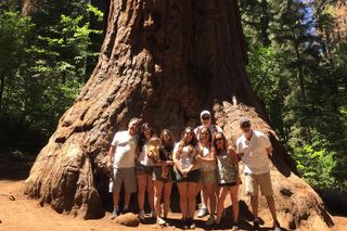 Off Road Giant Sequoia 4x4 Tour Yosemite National Park