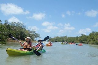 Fort Myers: Bunche Beach Preserve Full Day Kayak or SUP Rental