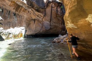 Private Narrows Hike at Zion National Park (Discounts Groups 4+)