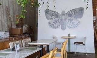 The Moth Cafe