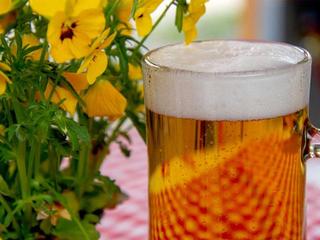 Great Alaska Beer & Barley Wine Festival 2027