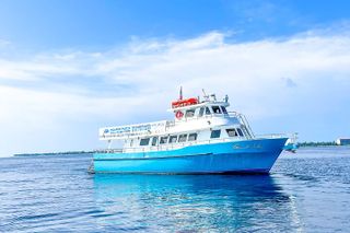Shell Island Cruise and Dolphin Watch