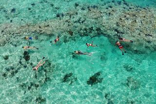 Key West 2 Reef Snorkel Tour & Sunset Cruise with Beer & Wine