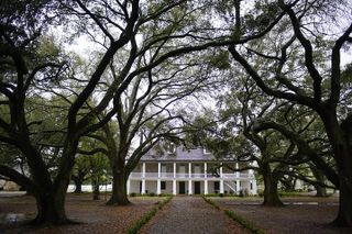 Whitney Plantation Tour with Transportation