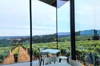 Oregon Wine Tour-Full Day Tour with Lunch Stop