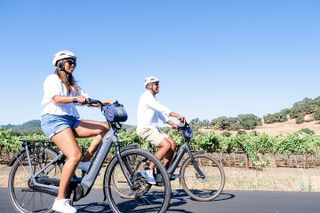 Half-Day Napa Winery E-Bike Tour