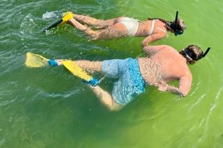 4 Hour Egmont Key Island Tour With Dolphins & Snorkeling Included
