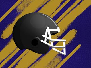 2026 Baltimore Ravens Season Tickets (Includes Tickets To All Regular Season Home Games)