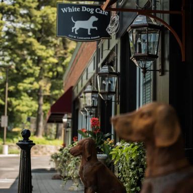 White Dog Cafe-Haverford