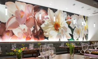 Franks Organic Garden