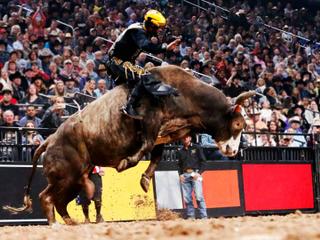 PBR Team Series - 2 Day Pass (8/21-8/22)