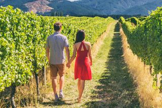 From San Francisco: Napa & Sonoma Valley Wine Tour with Tastings