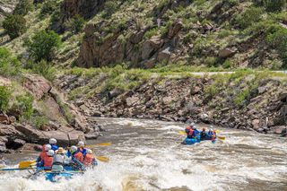 Bighorn Sheep Canyon Whitewater Rafting – Families & Beginners