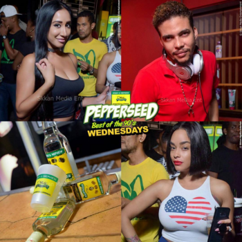 Pepperseed-Best of the 90's