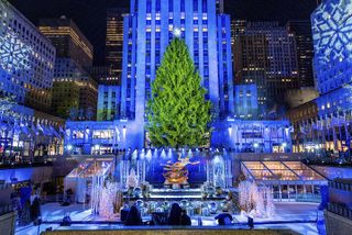 Christmas Light Private Carriage Ride New York City