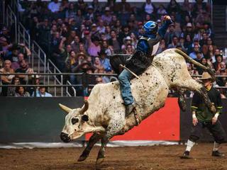 PBR - Unleash the Beast