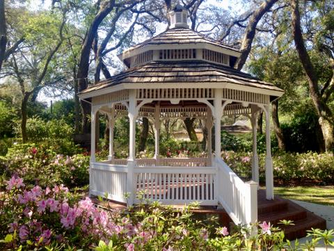Events in Temple Terrace