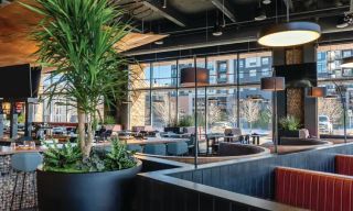 Great Divide Brewery & Roadhouse - Lone Tree