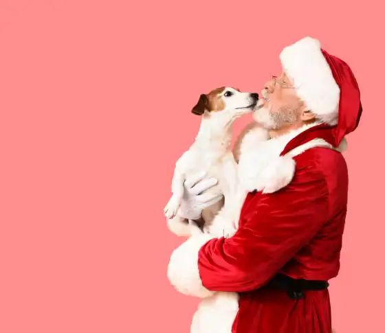 Pet Photos with Santa 🐶😺