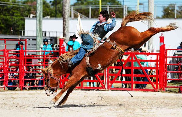 Montana Pro Rodeo Circuit Finals