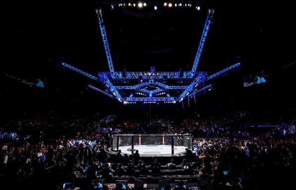 UFC Fight Night (Ankalaev vs Walker 2)