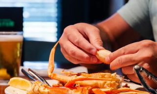 The Green Gator - Frisco