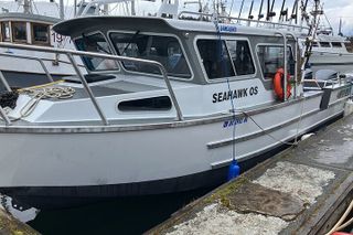 Whale Watching Hoonah Alaska