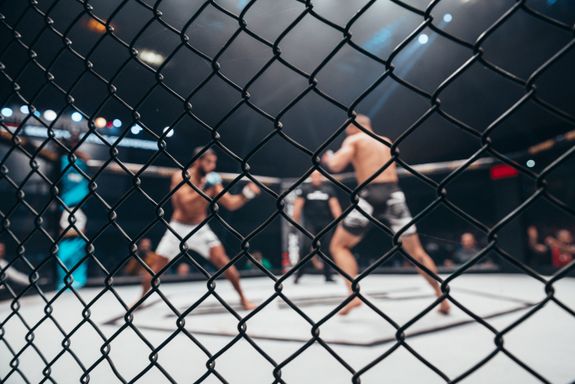 UFC 330