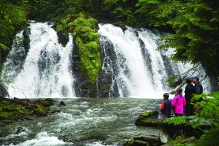 Historic Gold Panning Adventure & Salmon Bake