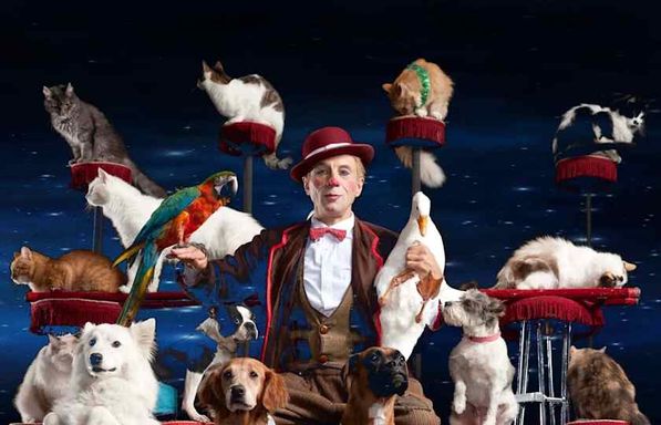 Popovich Comedy Pet Theatre